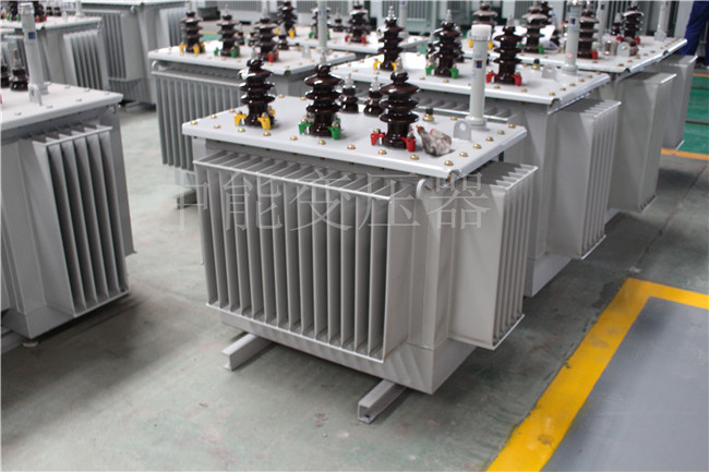 西双版纳S22-250KVA/10KV变压器